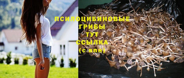 твердый Волоколамск